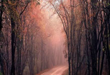 每体：若保留部分所有权，巴萨不排除让佩尼亚免费离队.