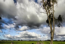 每体：若保留部分所有权，巴萨不排除让佩尼亚免费离队.