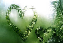 NBA杯赛淘汰赛对阵：火勇大战 雷霆VS独行侠.